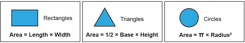 Area - Class Playground